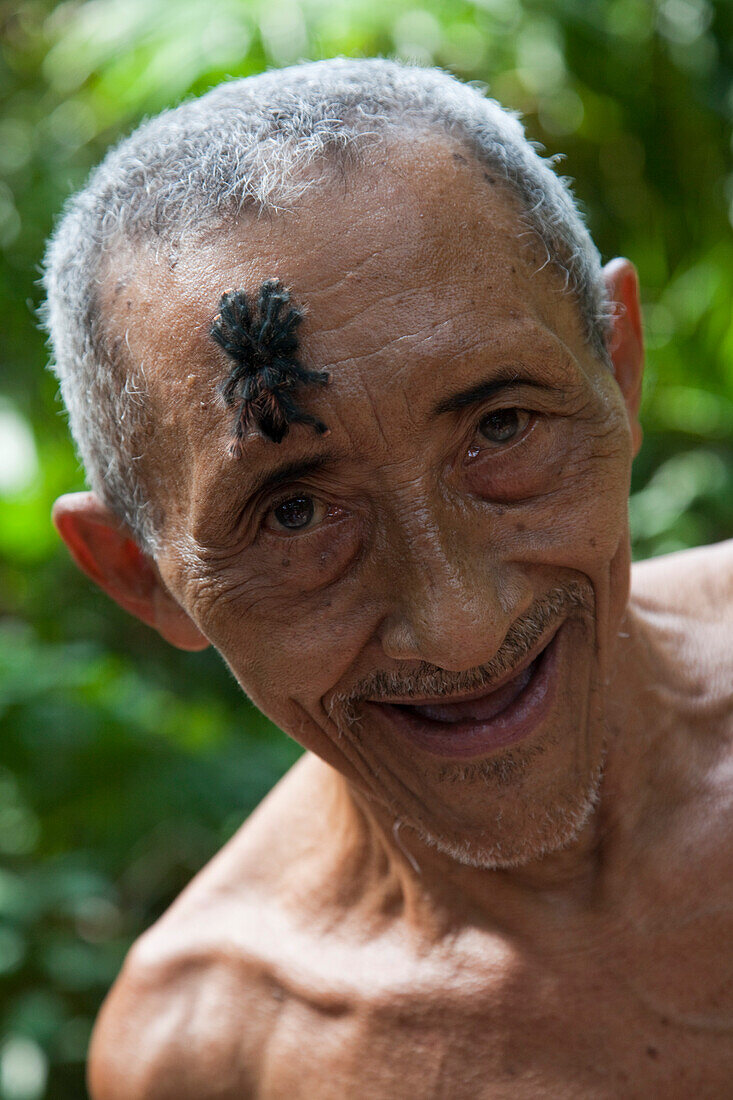 Indigenous man living in the Amazon rainforest with baby tarantula on his forehead, on Boa Vista do Acaro island, near Belem, Para, Brazil