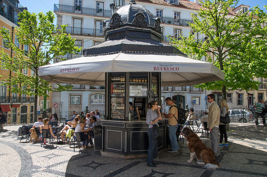 Ein Bernhardiner und Kunden vor dem Quiosque de Refresca Kiosk am Largo de Camoes im Stadtviertel Chiado, Lissabon, Portugal