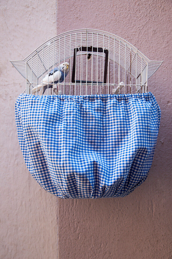 Blue and white budgerigar in a bird cage on the wall of a house in the Alfama district, Lisbon, Lisboa, Portugal