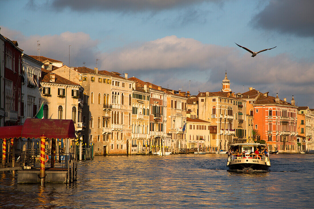 Vaporetto on the Grand Canal, Venice, Veneto, Italy, Europe