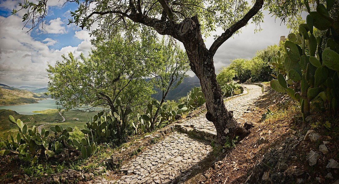 Path to Zahara Castle, Cádiz