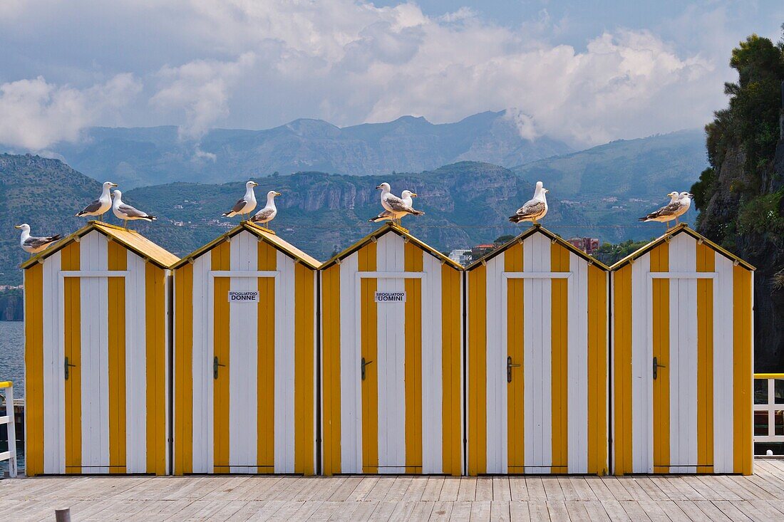 Yellow beach huts with seagulls on the pier in Sorrento, Campania, Italy
