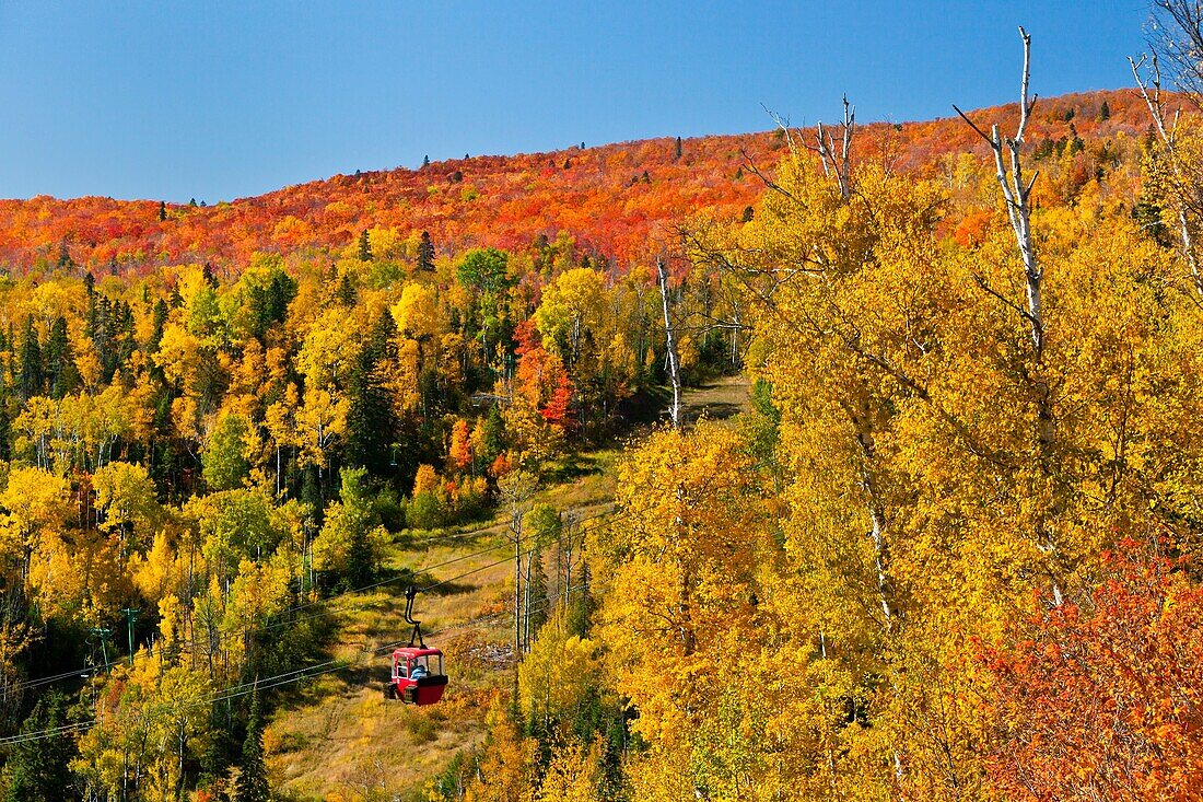 Fall foliage color in the Lutsen Mountains near the Lutsen Mountain Resort, Minnesota, USA
