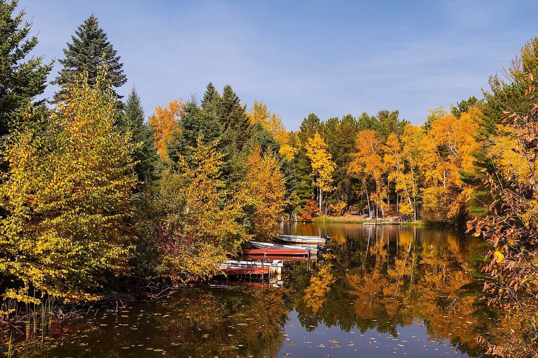 Reflections of fall foliage color in a small lake in northern Wisconsin, USA