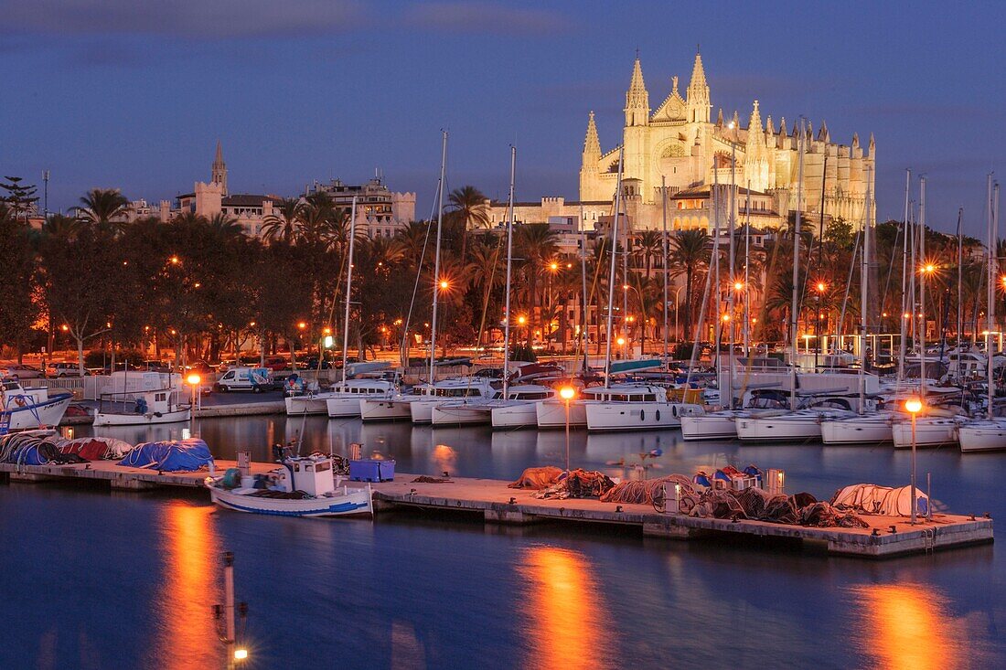 Kathedrale von Mallorca von der Anlegestelle der Riba, XIII Jahrhundert, Historisch-Künstlerisch, Palma, Mallorca, Balearen, Spanien, Europa