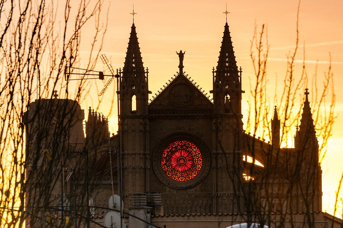 Beleuchtung bei Sonnenaufgang der Rosette der Hauptfassade, Wintersonnenwende, Kathedrale von Mallorca, XIII. Jahrhundert, Historic-Artistic, Palma, Mallorca, Balearen, Spanien, Europa