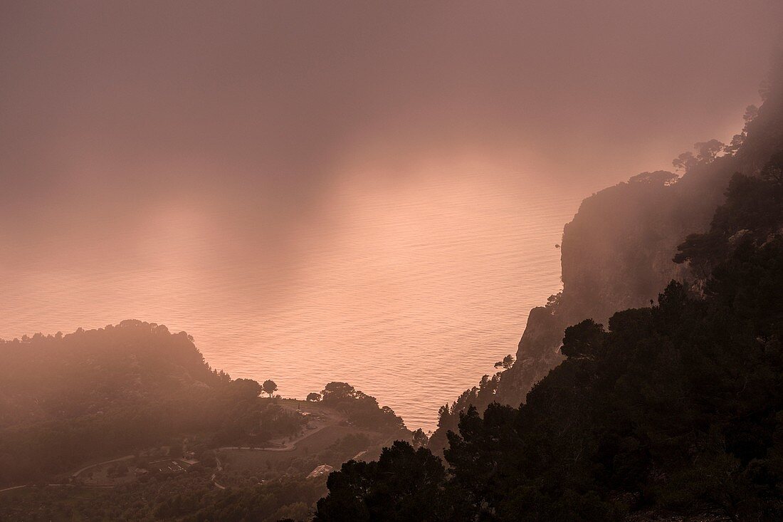 Hänge des Puig de Sa Talaya, Valldemossa Sierra de Tramuntana Mallorca Balearen Spanien