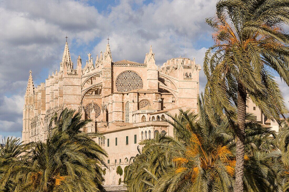 Mallorca Cathedral, XIII Century, Historic-Artistic, Palma, Mallorca, Balearic Islands, Spain, Europe