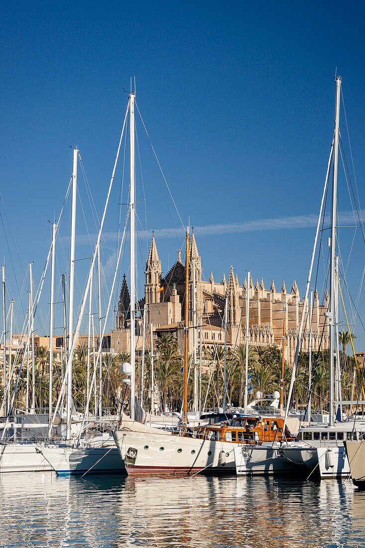 Kathedrale von Palma von Moll de la Riba aus, Palma, Mallorca, Balearen, Spanien, Europa