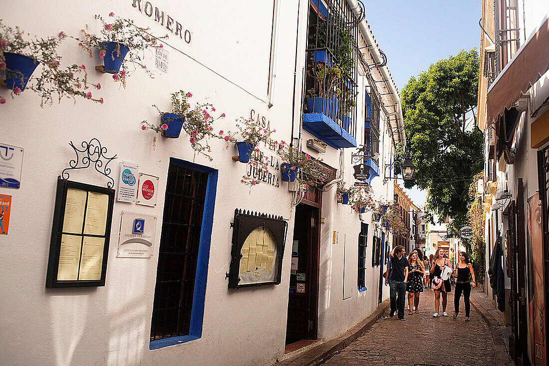 Córdoba  Andalusia, Spain