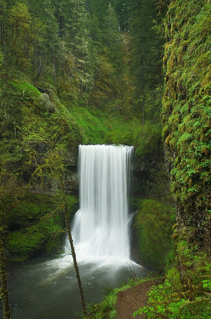 Lower South Falls, Silver Falls State … – License image – 70447004 ...