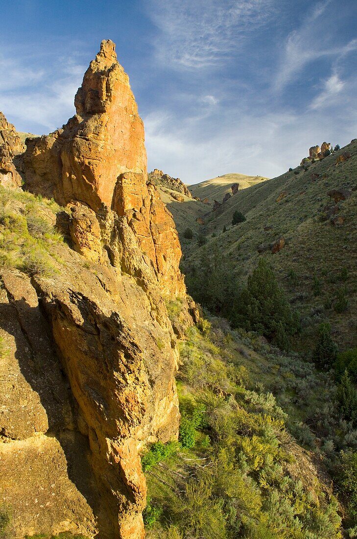 Spires and rock formations made of volcanic tuff in Leslie Gulch in the Owyhee Uplands of SE Oregon