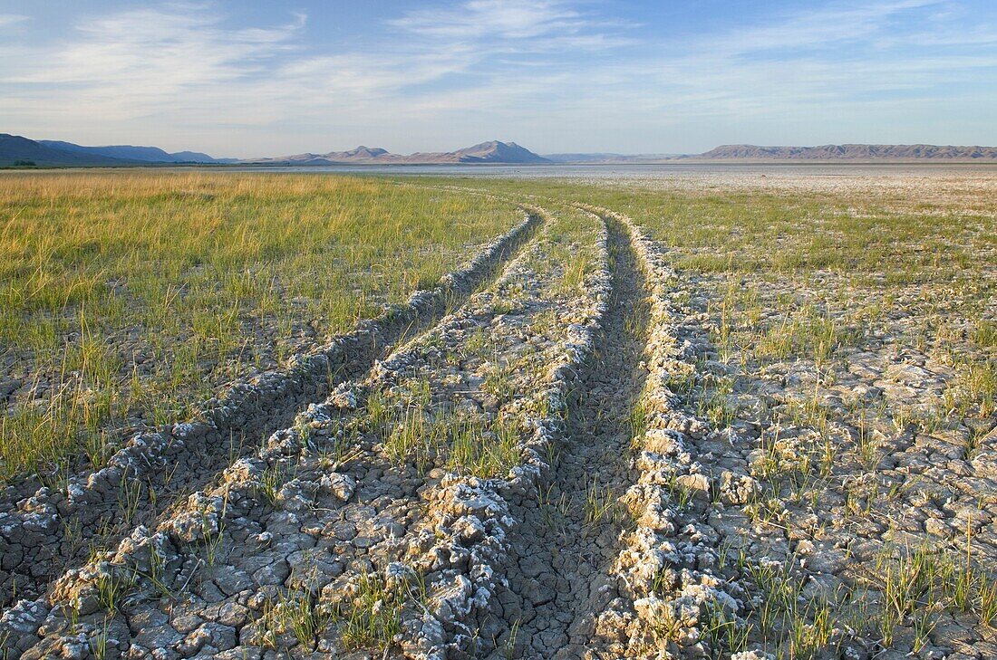 Tire tracks in dry lakebed, Alvord Desert Oregon