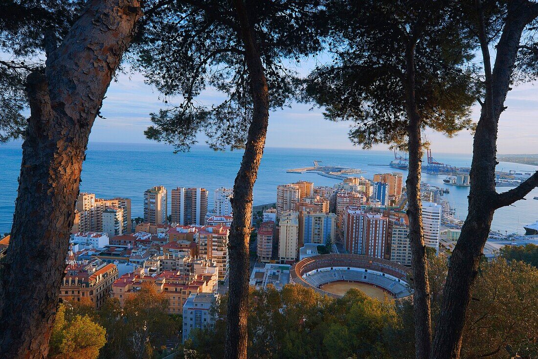 Malaga, Bullring and Port, View from Gibralfaro, Costa del Sol, Andalucia, Spain.