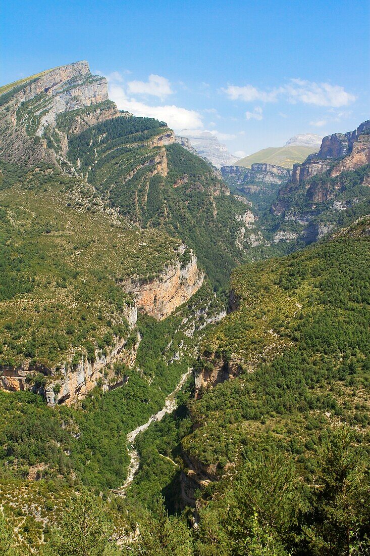 Canyon of Añisclo Valley, belonging to Ordesa y Monte Perdido National Park  Pyrenees  Fanlo  Huesca province  Aragón  Spain