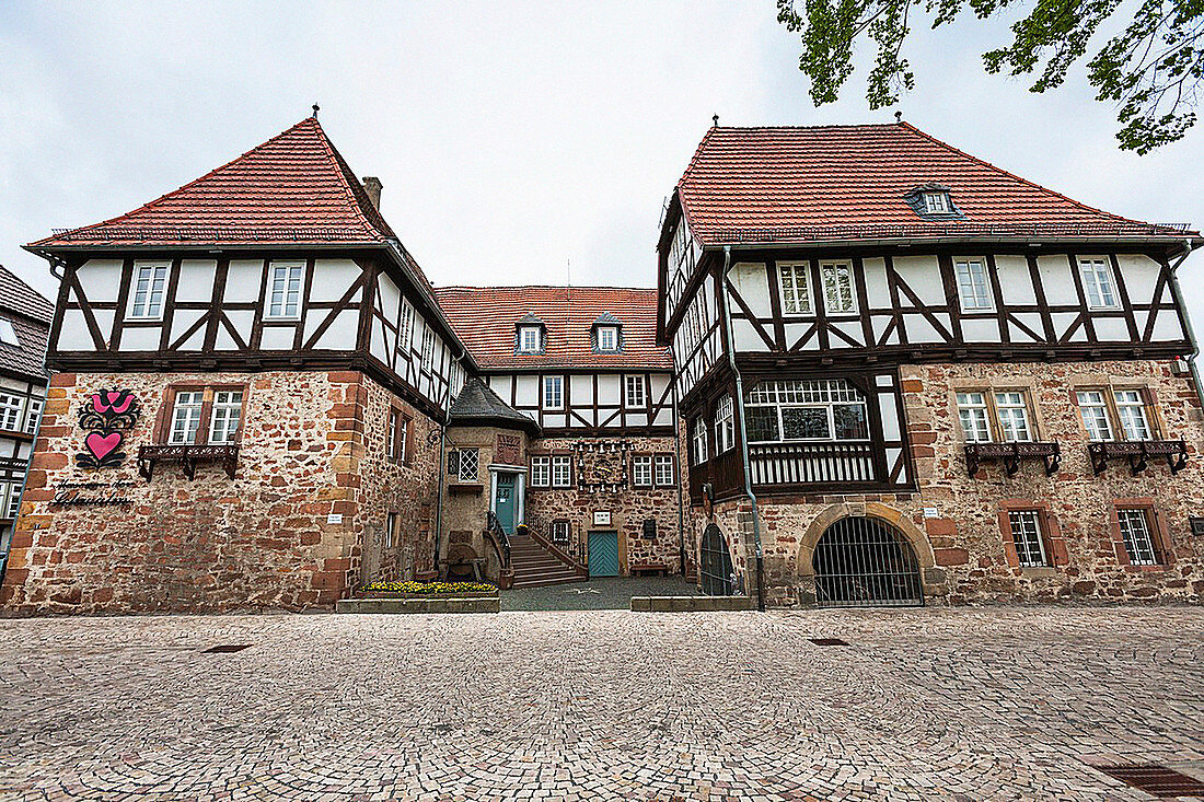 Moated castle of Ziegenhain, Schwalmstadt, Hesse, Germany, Europe