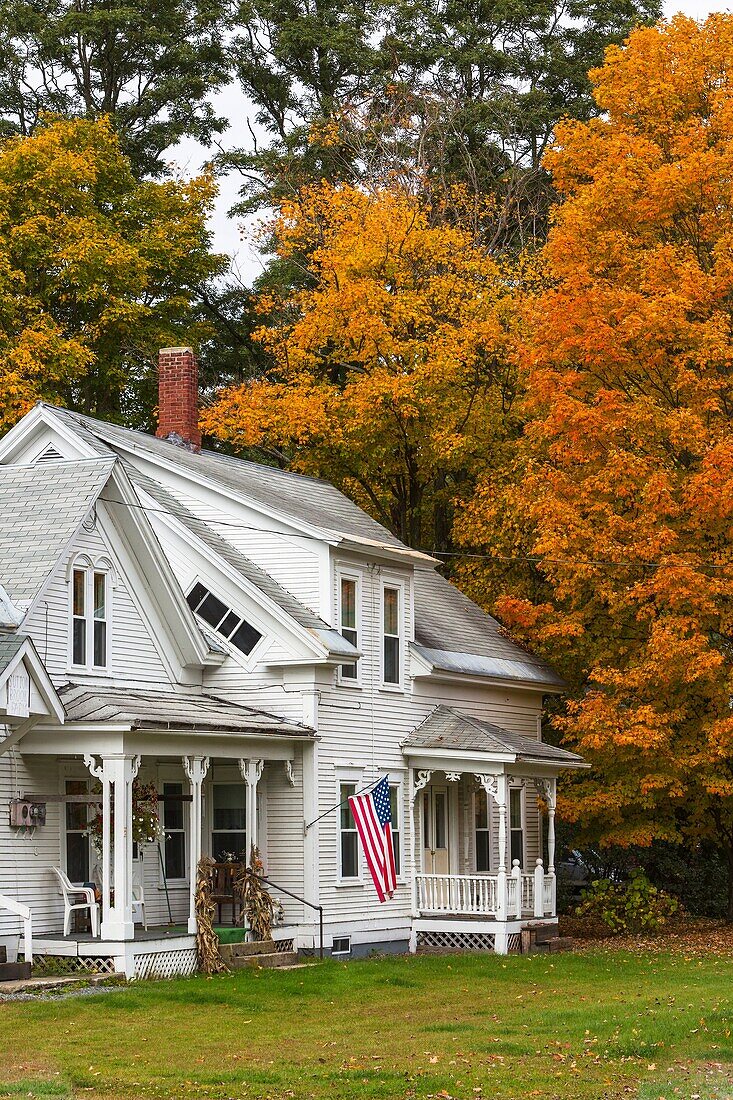 House with colorful tree in autumn in East Barnet, Vermont, USA