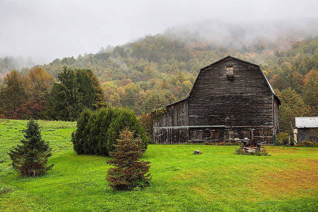 Old barn in the fog, Vermont, USA