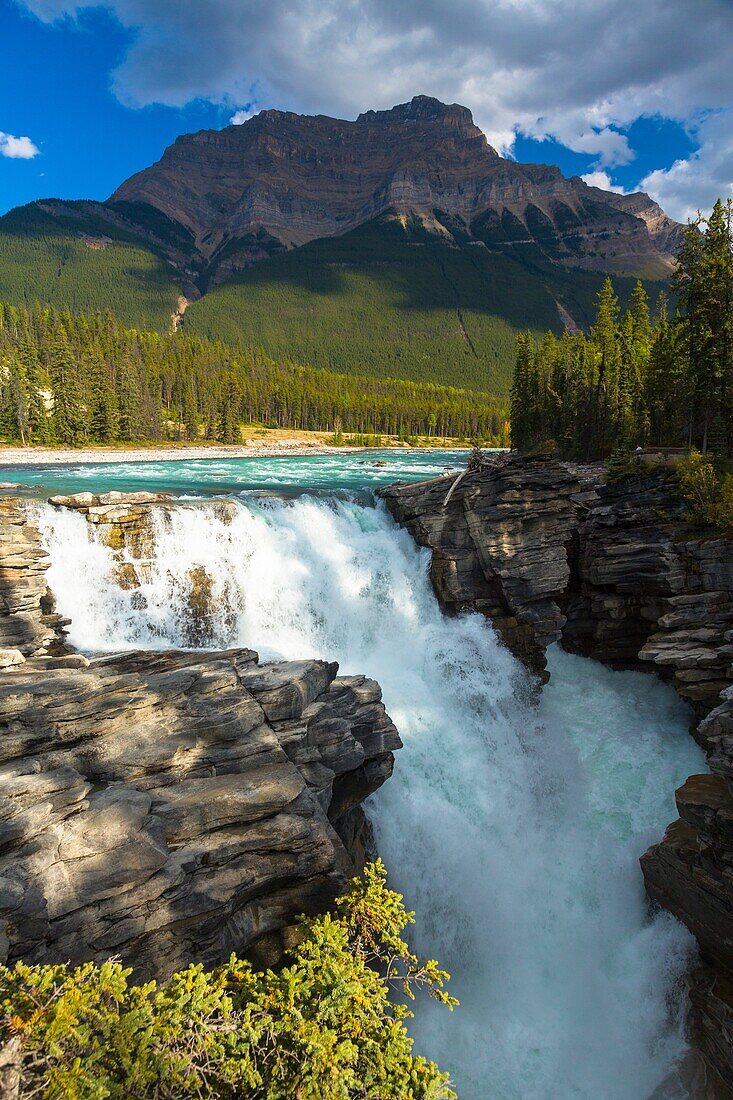 Athabasca Falls and the Canadian Rocky Mountains in the background, Jasper National Park, Alberta, Canada