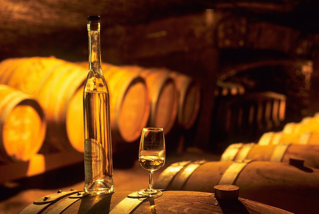 Champagne marc barrels, Moutard-Diligent cellar, Buxeuil, Aube department, Champagne-Ardenne region, France, Europe