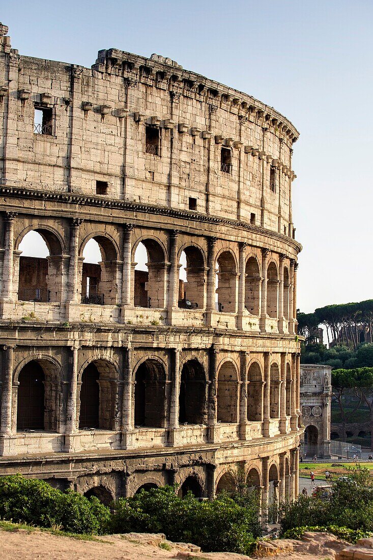 The Roman Colosseum Rome Italy