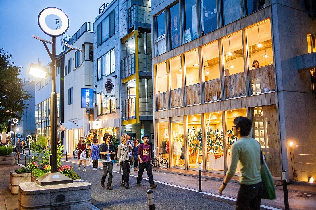 Street scene in Cat Street Omotesando Tokyo city, Japan, Asia