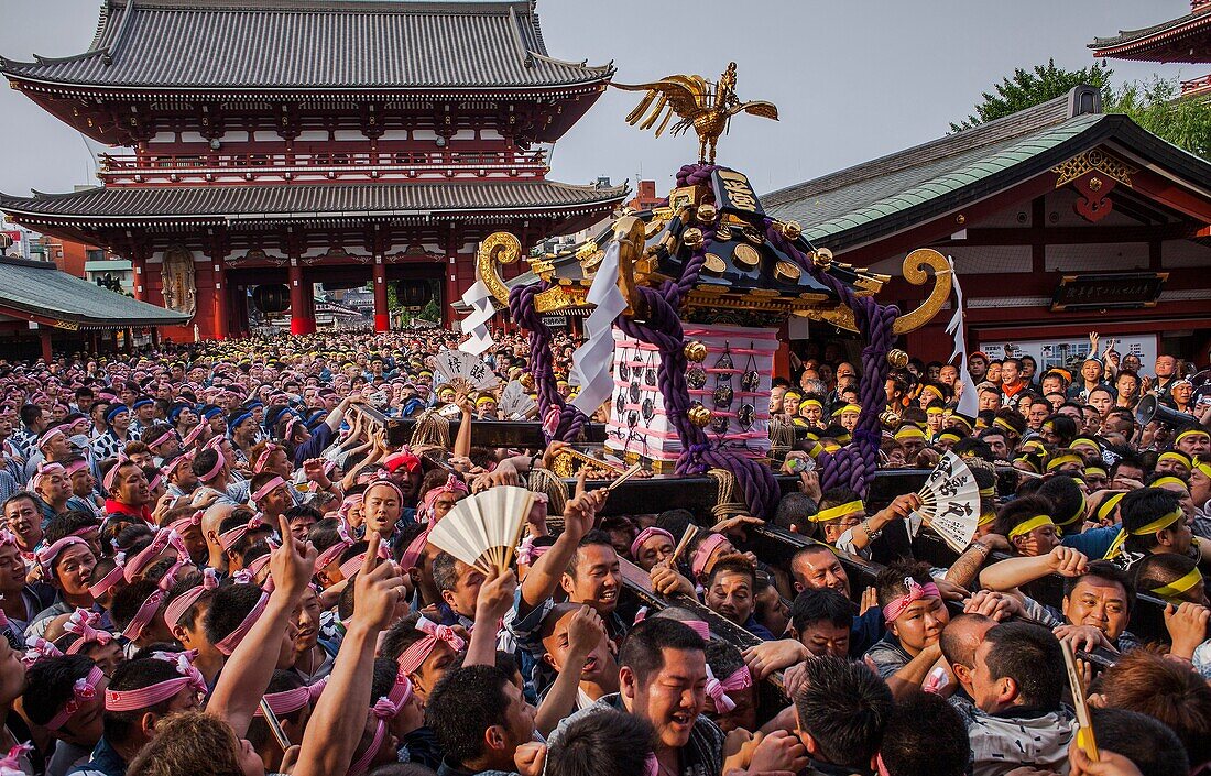 Sanja Matsuri Festival, Sensoji Temple, Asakusa Jinja, Asakusa, Tokyo, Japan, Asia