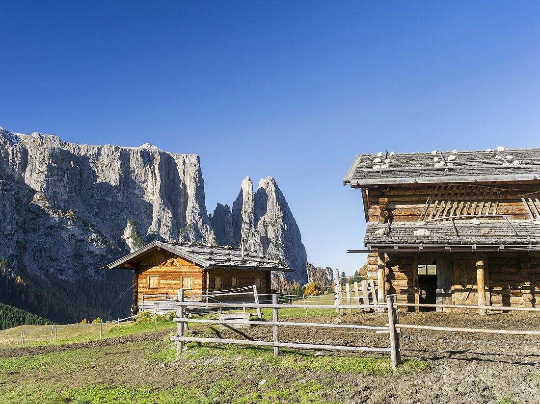 Mount Schlern also called mount sciliar seen from the Alpe Seiser Alm in South Tyrol during autumn  Traditional alpine cabins used by mountain farmers of the Alpe Seiser Alm  The Schlern is one of the icons of South Tyrol  The Schlern is part of the UNESC