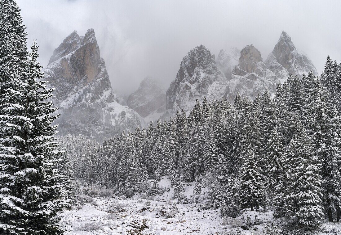 Rosengarten also called Catinaccio mountain range in the Dolomites of South Tyrol Alto Adige during autumn  The Tschamin Valley also called Ciares after an early snowstorm  The Rosengarten is part of the UNESCO world heritage site Dolomites  Europe, Centr