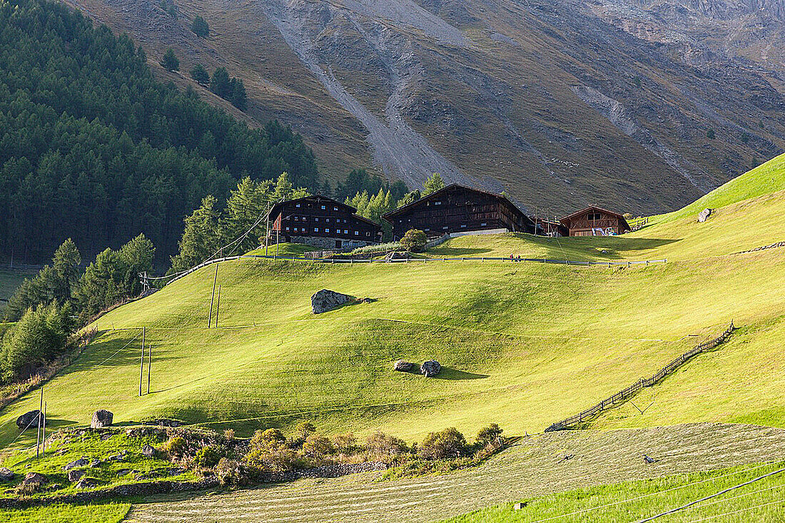 Mountain farm Tisenhof in valley Schnalstal val senales, South Tyrol  Europe, Central Europe, Austria, Tyrol, September