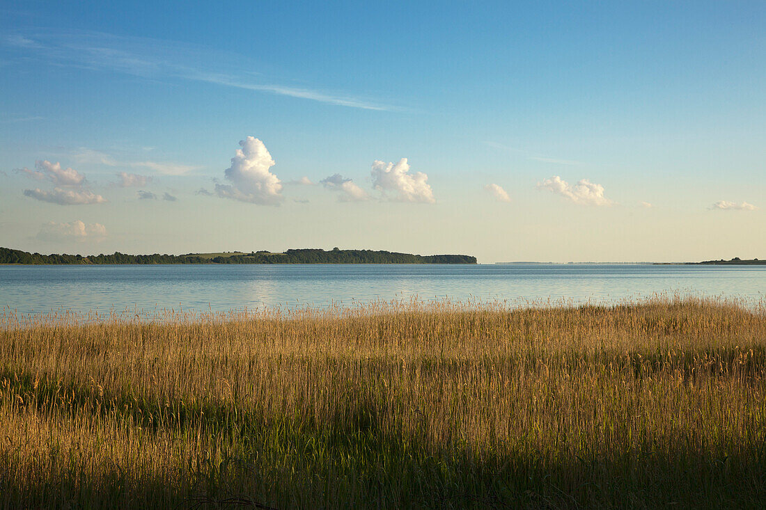 View over the bay towards the Moenchgut peninsula, Ruegen island, Baltic Sea, Mecklenburg Western-Pomerania, Germany