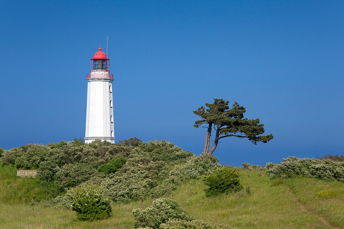 Lighthouse at Dornbusch, Hiddensee island, National Park Vorpommersche Boddenlandschaft, Baltic Sea, Mecklenburg Western-Pomerania, Germany