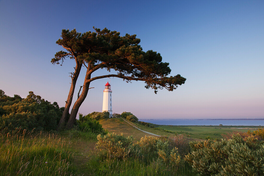 Leuchtturm auf dem Dornbusch, Insel Hiddensee, Nationalpark Vorpommersche Boddenlandschaft, Ostsee, Mecklenburg-Vorpommern, Deutschland