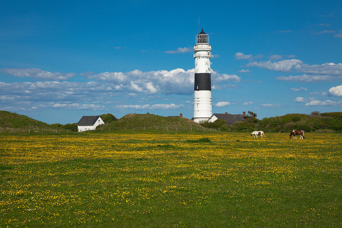 Kampen lighthouse, Sylt island, North Sea, North Friesland, Schleswig-Holstein, Germany