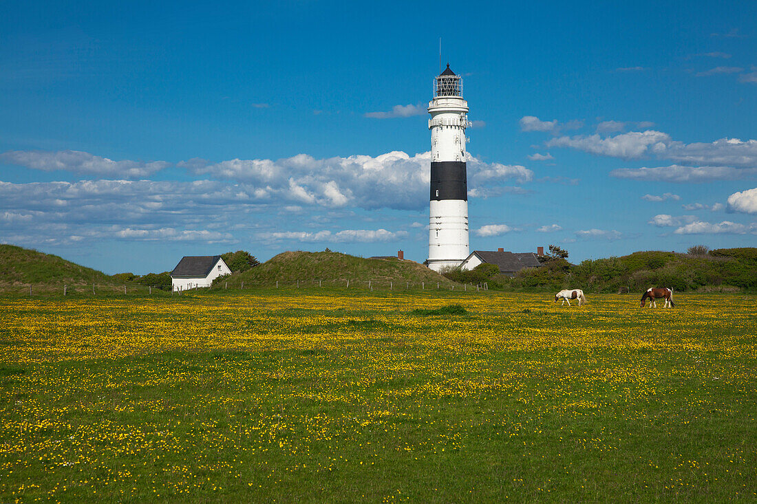 Leuchtturm Kampen, Insel Sylt, Nordsee, Nordfriesland, Schleswig-Holstein, Deutschland