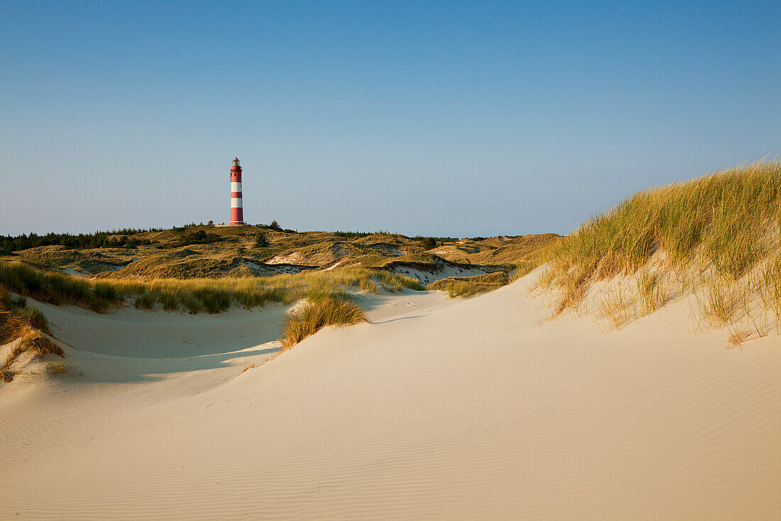 Lighthouse in the dunes at Kniepsand, Amrum island, North Sea, North Friesland, Schleswig-Holstein, Germany