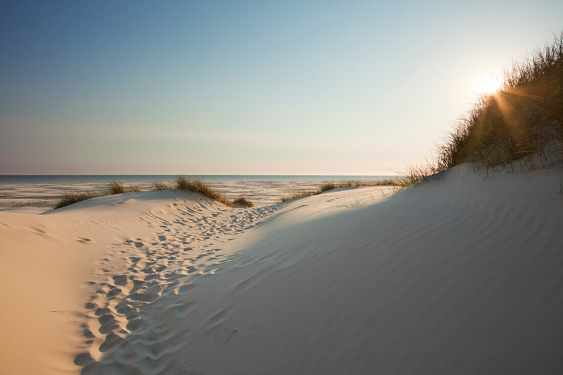 Dünen am Strand, Kniepsand, Insel Amrum, Nordsee, Nordfriesland, Schleswig-Holstein, Deutschland