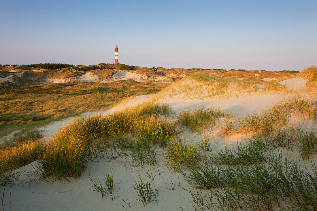 Leuchtturm in den Dünen am Kniepsand, Insel Amrum, Nordsee, Nordfriesland, Schleswig-Holstein, Deutschland