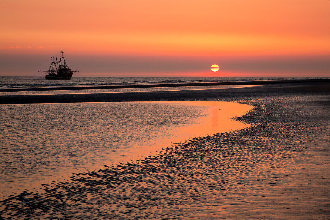 Fishing cutter at sunset at Kniepsand, Amrum island, North Sea, North Friesland, Schleswig-Holstein, Germany