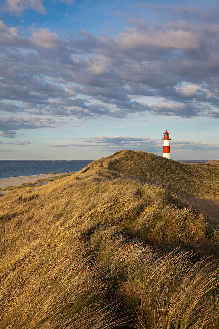 List Ost lighthouse, Ellenbogen peninsula, Sylt island, North Sea, North Friesland, Schleswig-Holstein, Germany