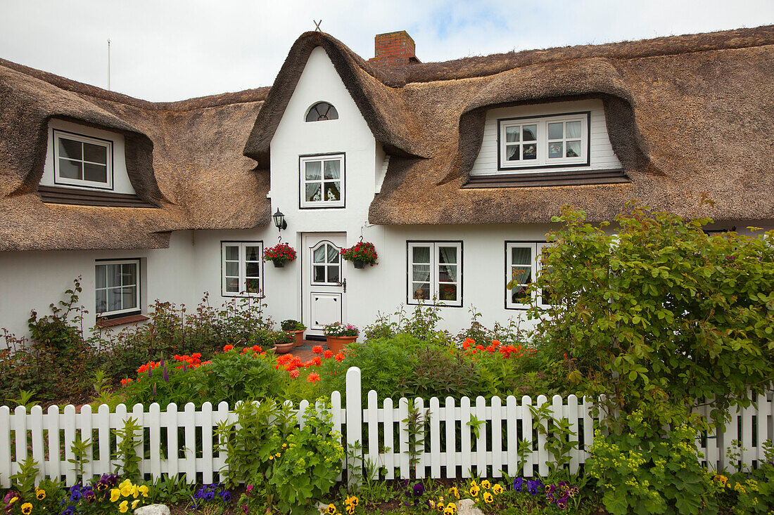 Mohnblumen vor reetgedecktem Friesenhaus, Nebel, Insel Amrum, Nordsee, Nordfriesland, Schleswig-Holstein, Deutschland