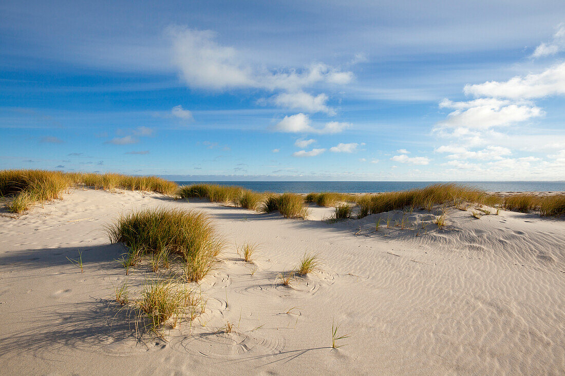 Dunes on the beach, Ellenbogen peninsula, Sylt island, North Sea, North Friesland, Schleswig-Holstein, Germany