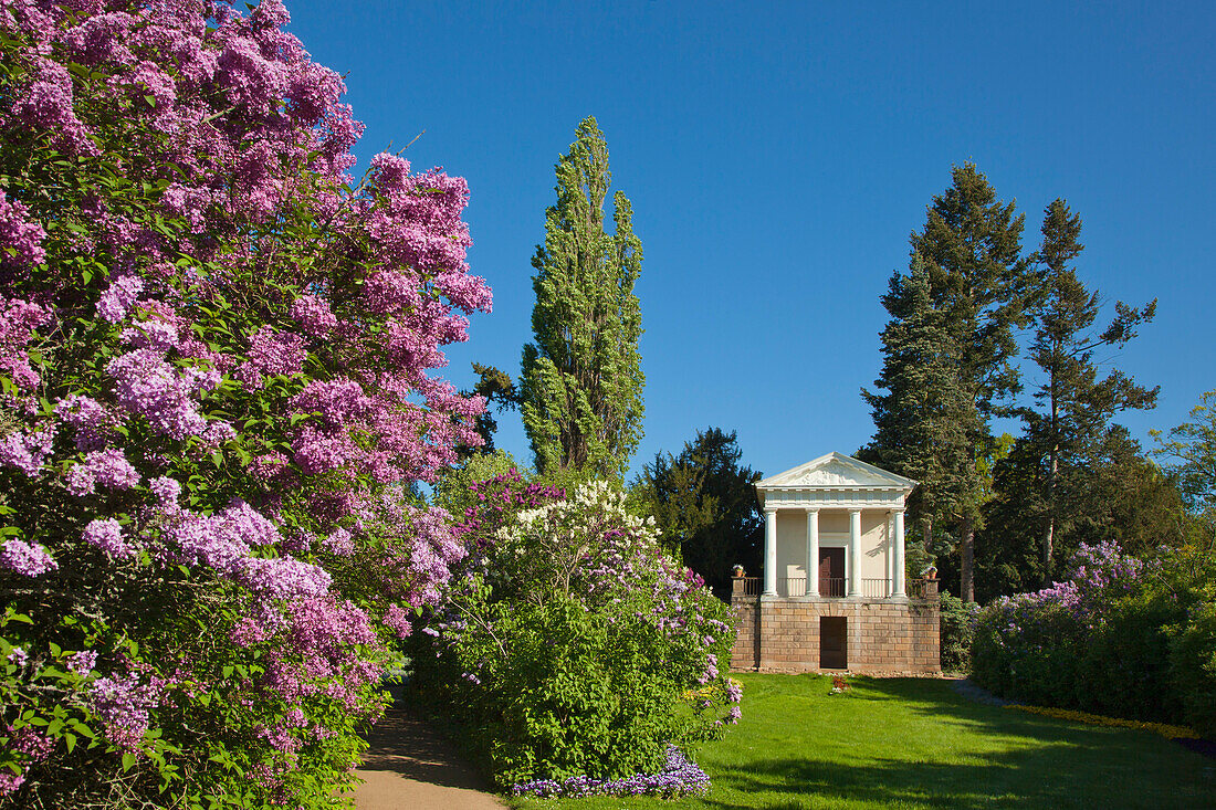 Temple of Flora, Woerlitz, UNESCO world heritage Garden Kingdom of Dessau-Woerlitz, Saxony-Anhalt, Germany