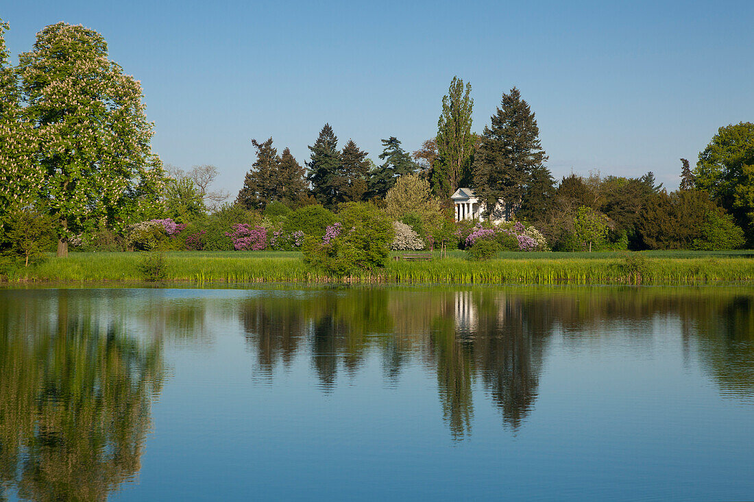 View over the lake to the temple of Flora, Woerlitz, UNESCO world heritage Garden Kingdom of Dessau-Woerlitz, Saxony-Anhalt, Germany