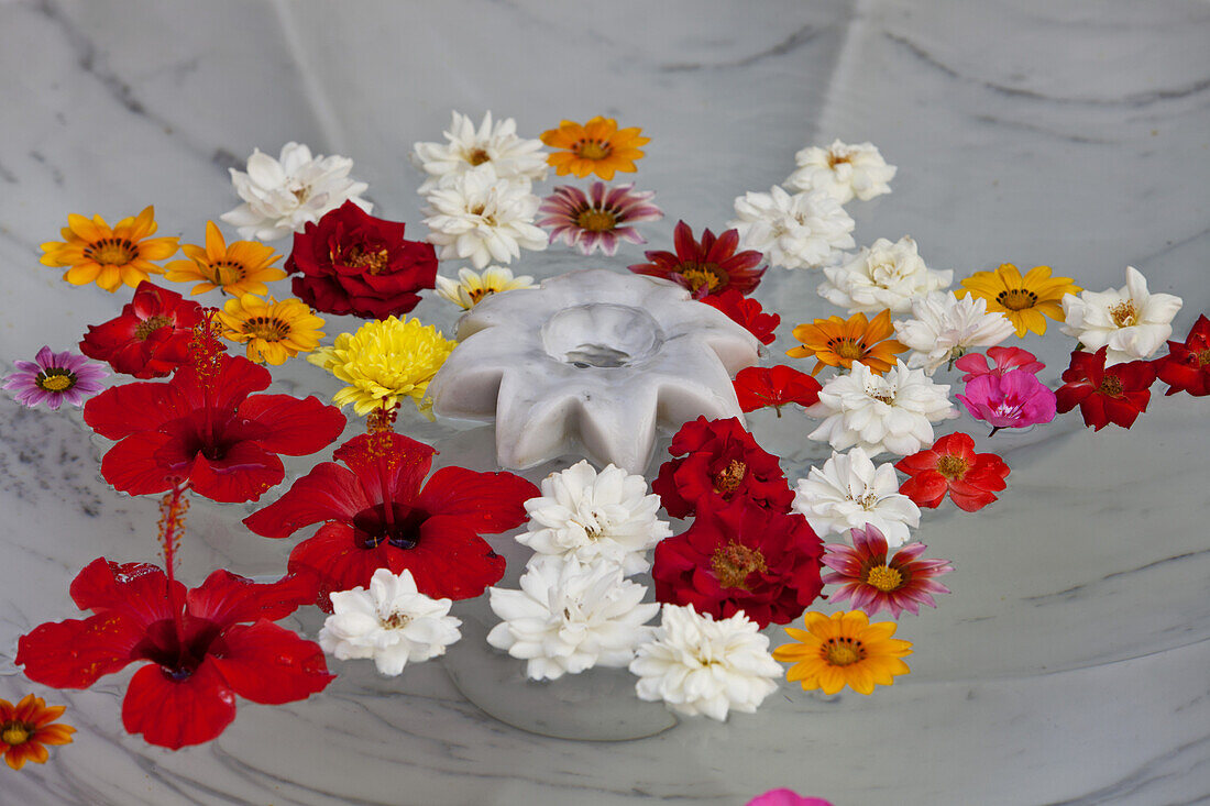 Flowers in water fountain, Riad Nashira, Marrakech, Morocco