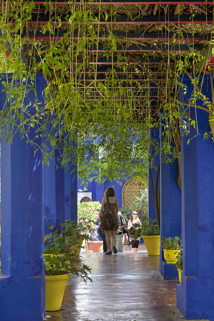 Jardins Majorelle, Marrakesch, Marokko