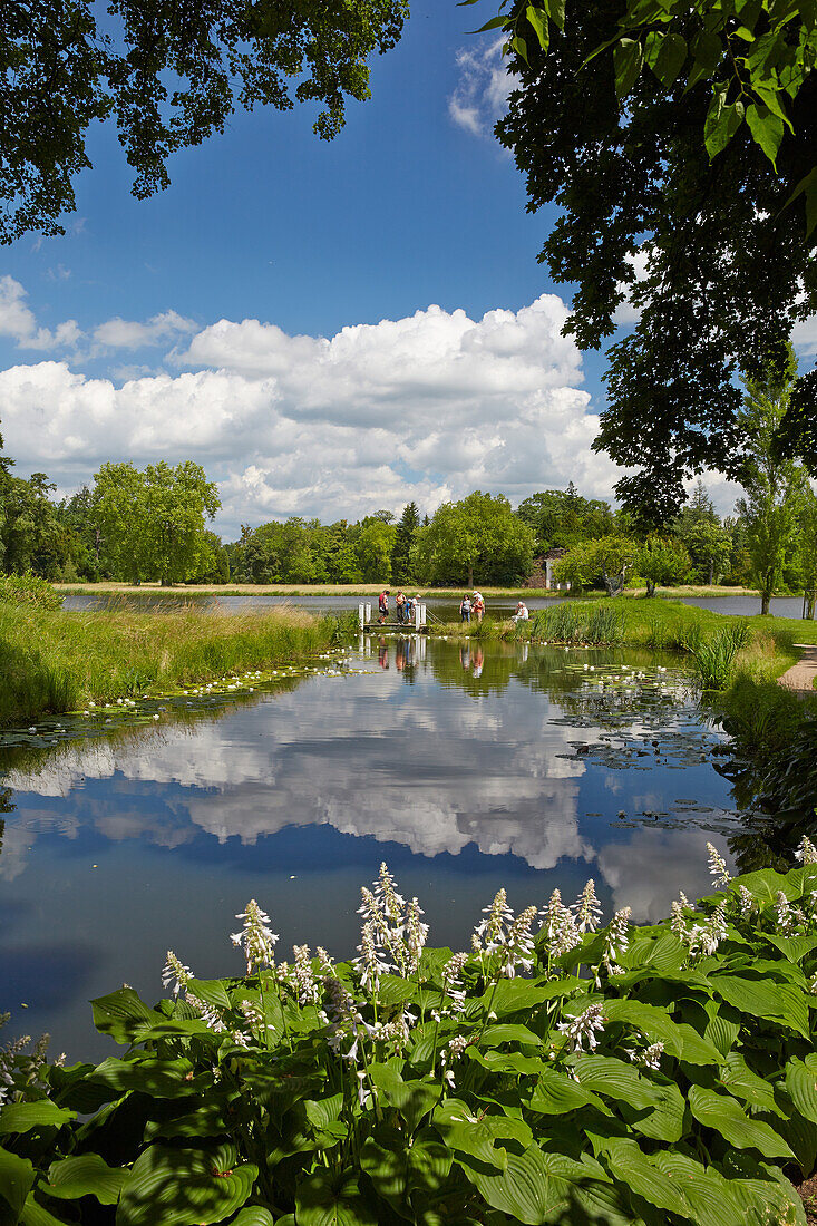 Bridge in the grounds, Dessau-Woerlitz Garden Realm, Saxony-Anhalt, Germany