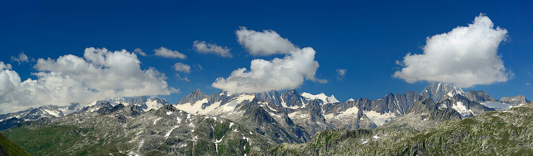 Panorama der Berner Alpen mit Oberaarhorn, Finsteraarhorn, Gross Fiescherhorn, Lauteraarhorn und Schreckhorn, Furkapass, Wallis, Schweiz