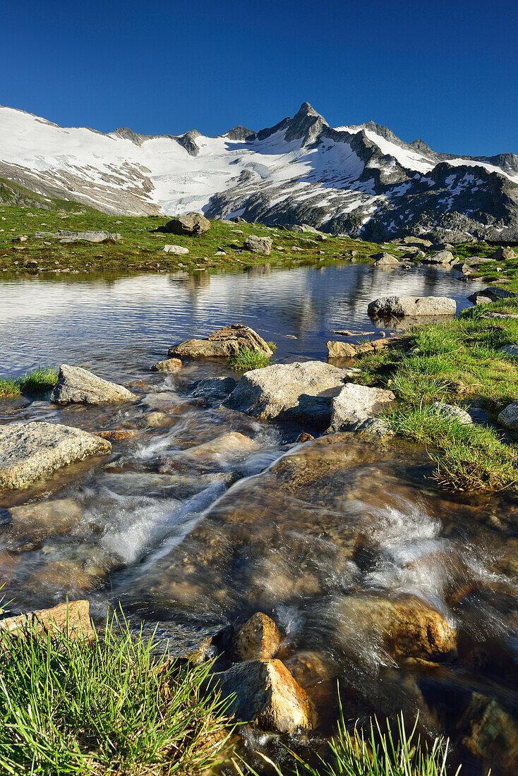 Bergbach fließt aus See, Dritte Hornspitze im Hintergrund, Zillertaler Alpen, Zillertal, Tirol, Österreich