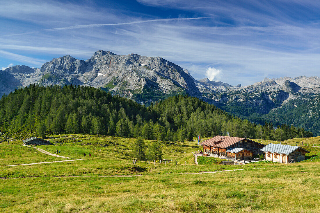 Blick über Gotzenalm mit Almhütten auf Steineres Meer mit Funtenseetauern, Nationalpark Berchtesgaden, Berchtesgadener Alpen, Oberbayern, Bayern, Deutschland